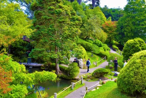 Stunning parks and views