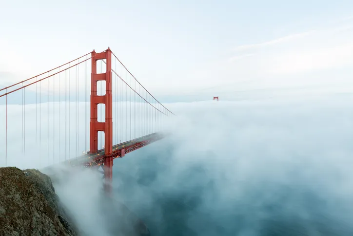 The fog