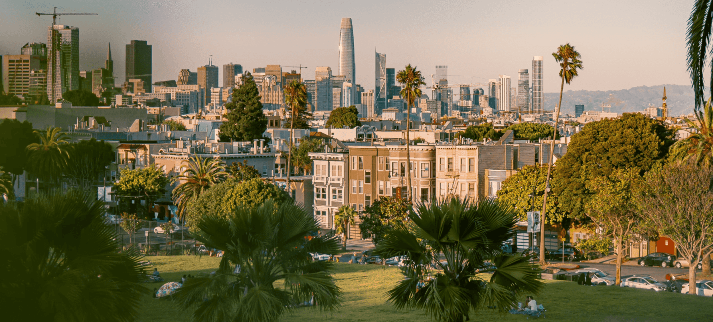 San Francisco Landscape Kit